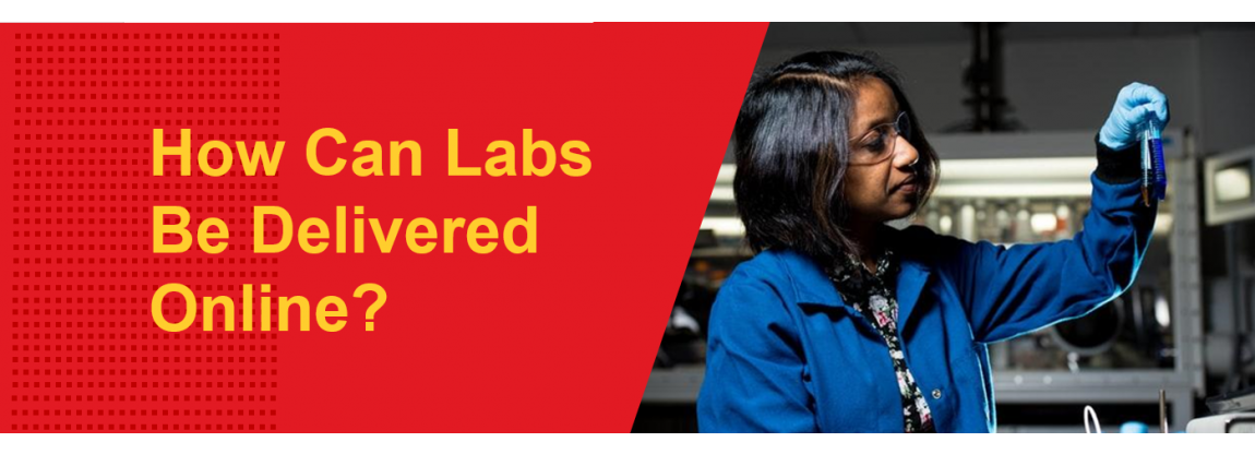 How Can Labs Be Delivered Online? 